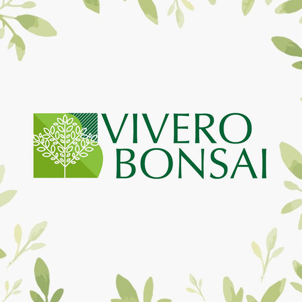 DonPig: Diseño Digital – Vivero Bonsai