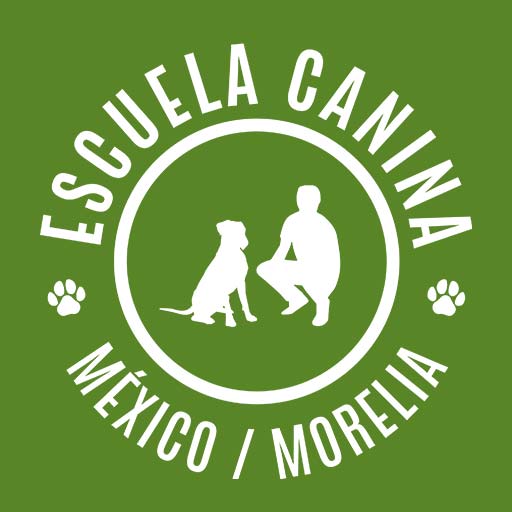DonPig: Diseño Digital – Escuela Canina México/Morelia