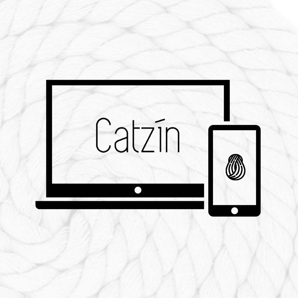 DonPig: Diseño Digital – Catzín